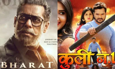 <p>Bharat- Coolie No.1</p>- India TV Hindi