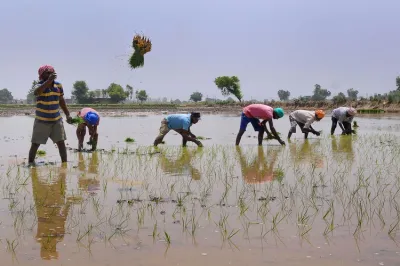 farmers- India TV Hindi