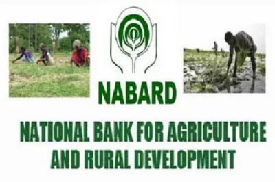 <p>nabard prelims result 2019</p>- India TV Hindi