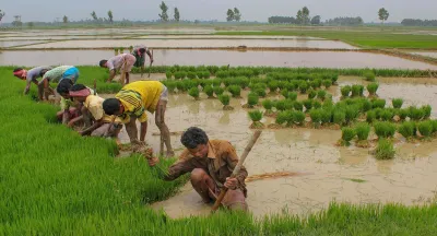 farmers- India TV Hindi