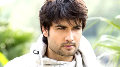 Vivian Dsena- India TV Hindi