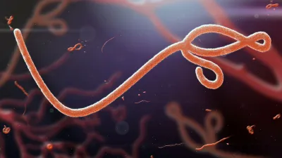 EBOLA VIRUS- India TV Hindi