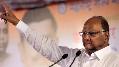 Maharashtra Elections: Sharad Pawar hits out at Devendra Fadnavis over wrestler jibe | PTI- India TV Hindi