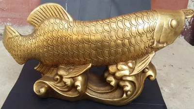 golden arowana fish - India TV Hindi