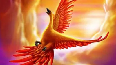 phoenix bird- India TV Hindi