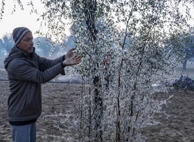 <p>icicles on the branches of a tree as temperature drops...- India TV Hindi