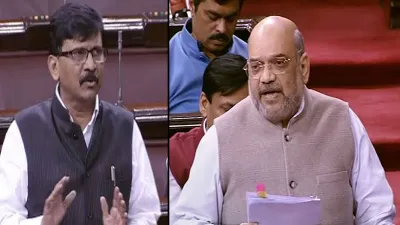 <p>Sanjay Raut and Amit Shah</p>- India TV Hindi