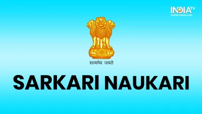 <p>sarkari naukari in uttar pradesh</p>- India TV Hindi