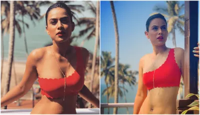 nia sharma- India TV Hindi