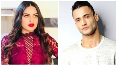 Asim Riaz and Himanshi Khurana- India TV Hindi