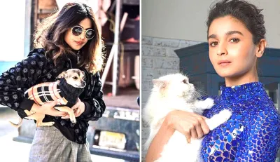 Bollywood celebs pets- India TV Hindi