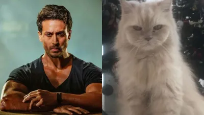 tiger shroff and his cat JD- India TV Hindi