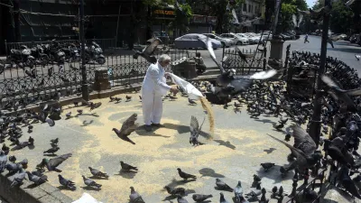 <p>Mumbai: A man feeds pigeons during a government-imposed...- India TV Hindi