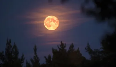 Super pink moon- India TV Hindi