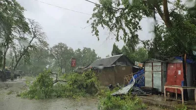 <p>A tree uprooted due to heavy wind and rain ahead of...- India TV Hindi