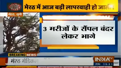 मेरठ मेडिकल कॉलेज में कोरोना मरीजों के ब्लड सैंपल लेकर भागे बंदर, देखें वीडियो- India TV Hindi