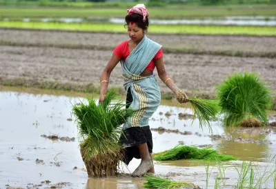 Farmers- India TV Hindi