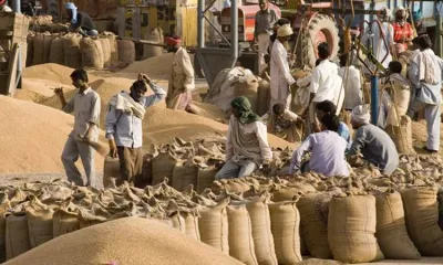 <p>Wheat Procurement</p>- India TV Paisa