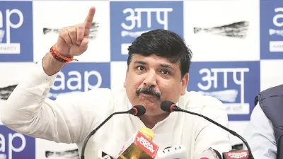 AAP MP, Sanjay Singh, Delhi riots, bjp, DMC report- India TV Hindi