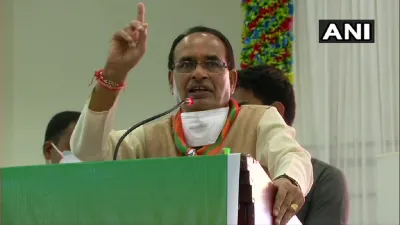 Shivraj singh chouhan attacks sonia gandhi rahul gandhi । सोनिया और राहुल के तलवे चाटने वाला वफादार - India TV Hindi