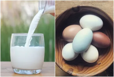 Milk and Egg- India TV Hindi