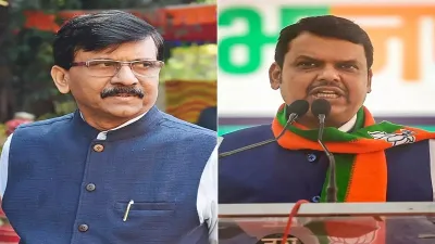 Sanjay Raut and Devendra Fadnavis - India TV Hindi