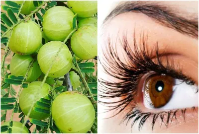 Amla and Eyes - India TV Hindi