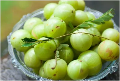 Amla or Gooseberry- India TV Hindi