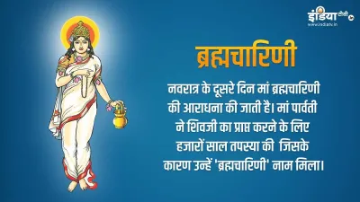 नवरात्र का दूसरा दिन, जानिए मां ब्रह्मचारिणी की पूजा विधि, मंत्र और भोग- India TV Hindi