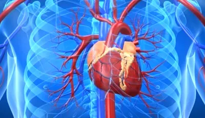 what is angioplasty know about this treatment- India TV Hindi