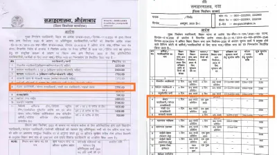 चुनाव में लगे अधिकारियों को दिन का कितना खर्च मिलता है?- India TV Hindi