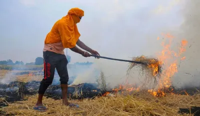 Stubble burning percentage reached to 40 percent in Delhi Air Pollution- India TV Hindi