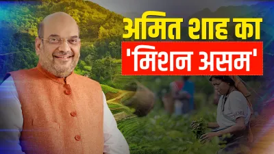 <p>गृह मंत्री अमित शाह...- India TV Hindi