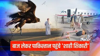 UAE hunter in pakistan । अपने बाज लेकर पाकिस्तान में शिकार करने पहुंच चुके हैं UAE के शहजादे- India TV Hindi