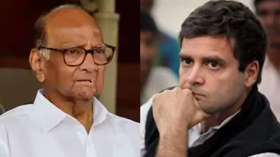 Sharad Pawar on Rahul Gandhi, Sharad Pawar statement on Rahul Gandhi, Sharad Pawar- India TV Hindi