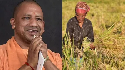 Yogi Government, Yogi Government Paddy, Yogi Government Wheat, Yogi Government MSP- India TV Hindi