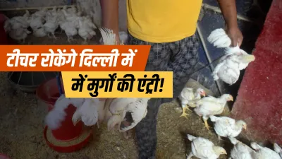 Bird Flu protection in delhi teachers appointed on border protest begins updates दिल्ली में न घुस पा- India TV Hindi