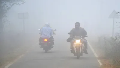 IMD Alert cold wave minimum temperature weather forecast rajasthan ajmer bikaner churu jaipur nagaur- India TV Hindi