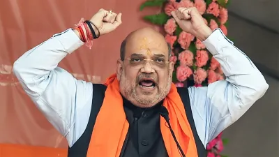 Amit Shah gujarat municipal election 2021 results, Amit Shah, gujarat municipal election 2021- India TV Hindi