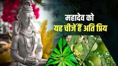 Mahashivratri 2021 these things offered on shivling on shivratri know reason: Mahashivratri 2021: मह- India TV Hindi