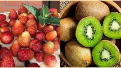 Immunity booster fruits- India TV Hindi