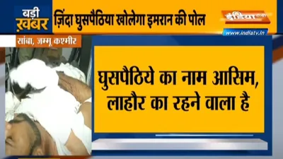 BSF arrests Pakistani national trying to enter India BSF ने पाकिस्तानी नागरिक को किया गिरफ्तार, घुसप- India TV Hindi