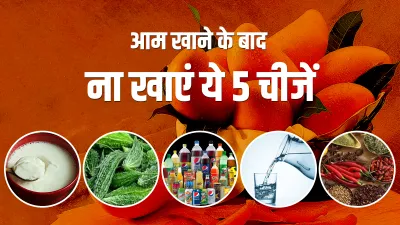 Mangoes- India TV Hindi