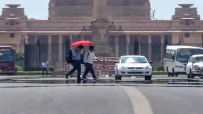 Delhi records lowest mean max temp since 2008: IMD- India TV Hindi