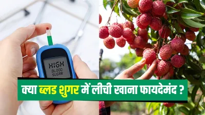 Lichi for diabetes: डायबिटीज के मरीज लीची खा सकते हैं कि नहीं, जानें इस सवाल का जवाब- India TV Hindi