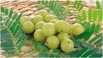 amla, uric acid- India TV Hindi