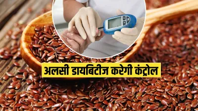 Flax seeds or Alsi- India TV Hindi