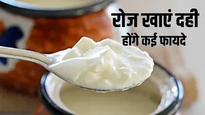 <p>Dahi</p>- India TV Hindi