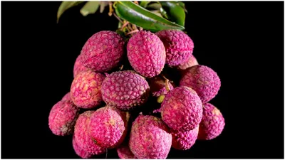 Lychee Benefits- India TV Hindi