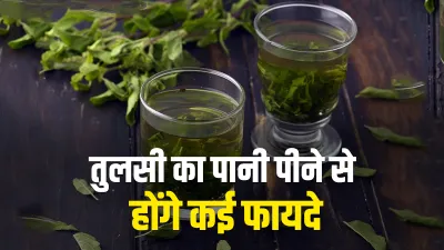 Tulsi water - India TV Hindi